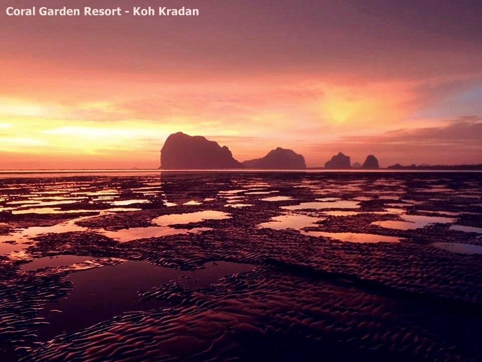 Coral Garden Resort Koh Kradan Exteriör bild